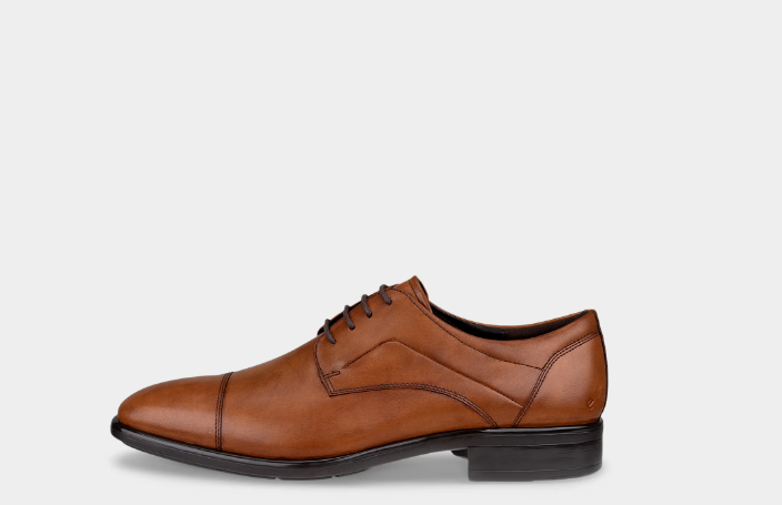 کفش رسمی اکو دانمارک مردانه ECCO CITYTRAY - رسمی چرمی فول‌گرین استایل کلاسیک رنگ قهوه ای